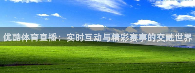优酷体育直播：实时互动与精彩赛事的交融世界