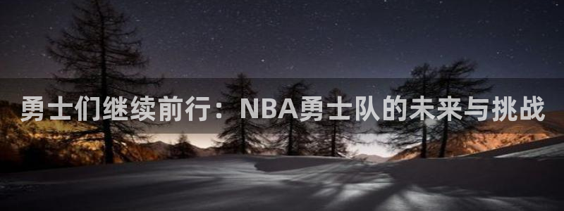 勇士们继续前行：NBA勇士队的未来与挑战