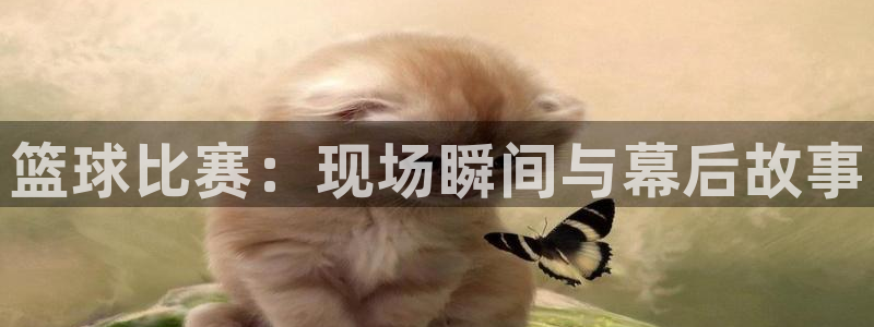 篮球比赛：现场瞬间与幕后故事
