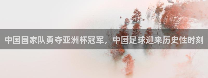 中国国家队勇夺亚洲杯冠军，中国足球迎来历史性时刻