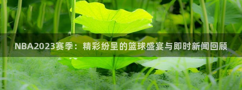 NBA2023赛季：精彩纷呈的篮球盛宴与即时新闻回顾