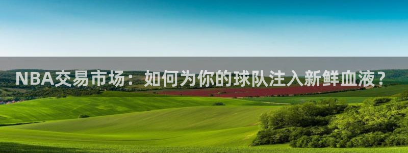 NBA交易市场：如何为你的球队注入新鲜血液？