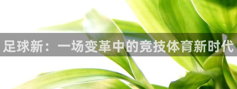足球新：一场变革中的竞技体育新时代