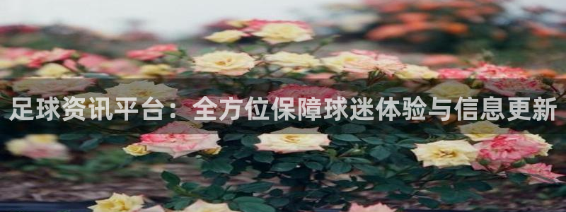 足球资讯平台：全方位保障球迷体验与信息更新