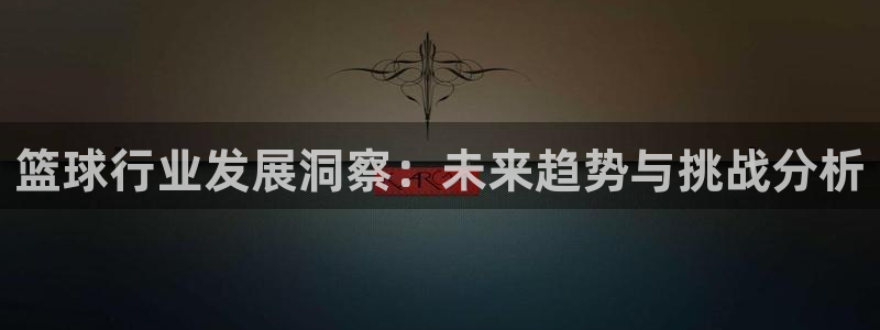 篮球行业发展洞察：未来趋势与挑战分析