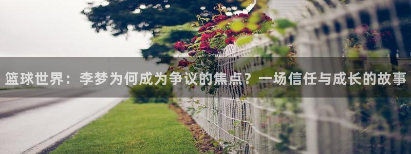 篮球世界：李梦为何成为争议的焦点？一场信任与成长的故事