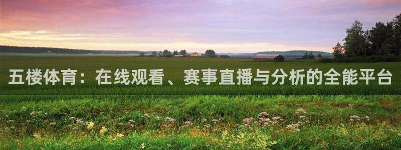 五楼体育：在线观看、赛事直播与分析的全能平台