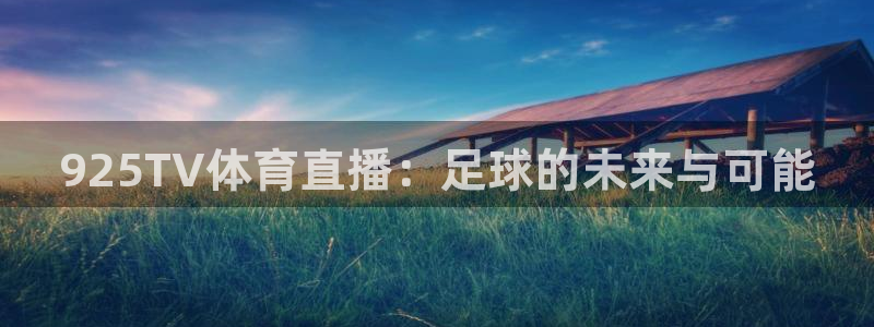 925TV体育直播：足球的未来与可能