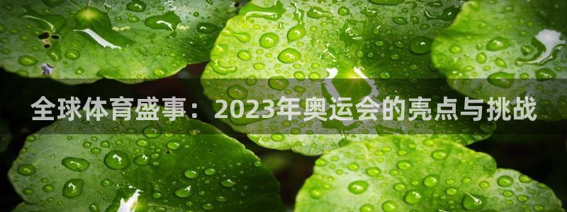 全球体育盛事：2023年奥运会的亮点与挑战