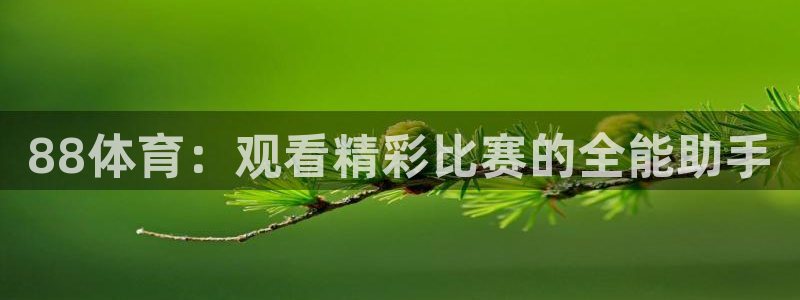 88体育：观看精彩比赛的全能助手