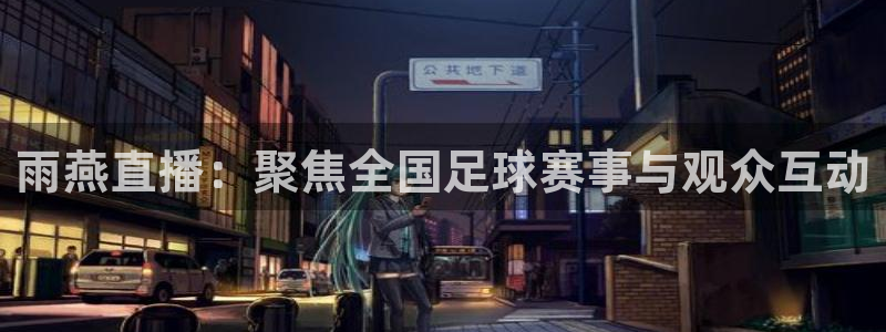 雨燕直播：聚焦全国足球赛事与观众互动