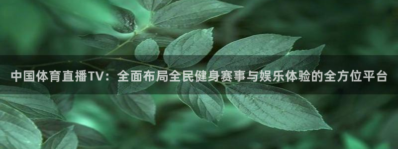 中国体育直播TV：全面布局全民健身赛事与娱乐体验的全方位平台