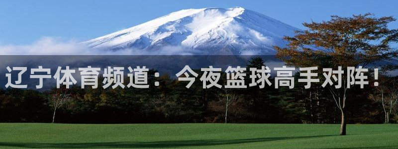 辽宁体育频道：今夜篮球高手对阵！