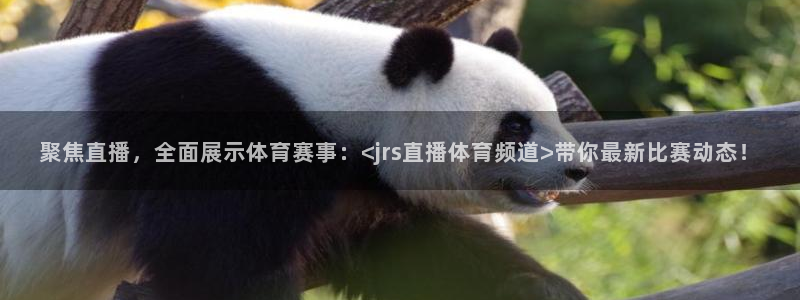 聚焦直播，全面展示体育赛事：<jrs直播体育频道>带你最新比赛动态！