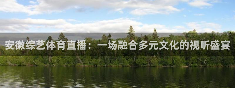 安徽综艺体育直播：一场融合多元文化的视听盛宴