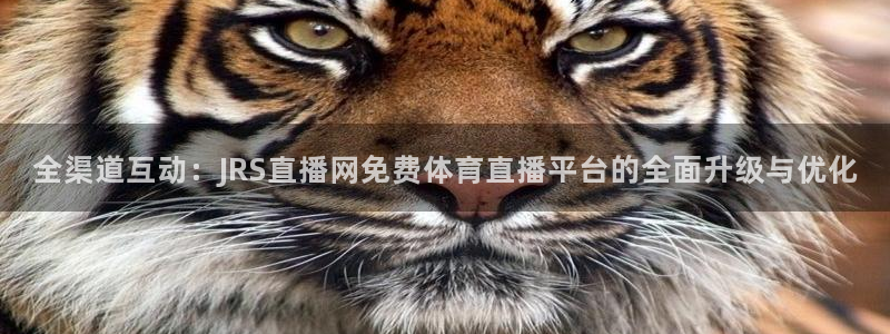 全渠道互动：JRS直播网免费体育直播平台的全面升级与优化