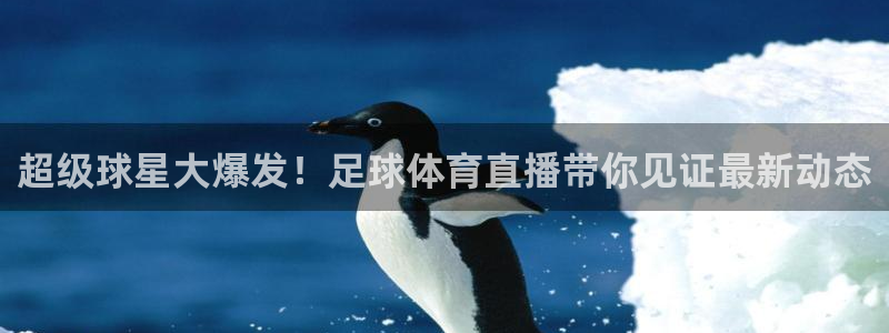 超级球星大爆发！足球体育直播带你见证最新动态