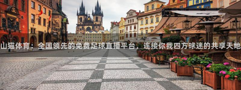 山猫体育：全国领先的免费足球直播平台，连接你我四方球迷的共享天地