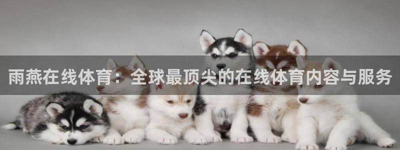 雨燕在线体育：全球最顶尖的在线体育内容与服务