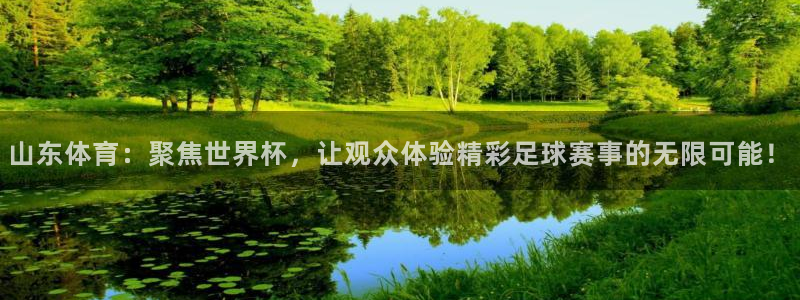 山东体育：聚焦世界杯，让观众体验精彩足球赛事的无限可能！