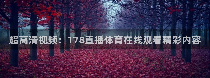 超高清视频：178直播体育在线观看精彩内容