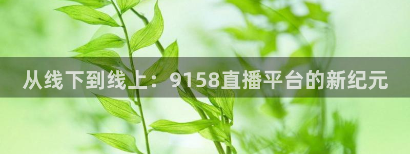从线下到线上：9158直播平台的新纪元