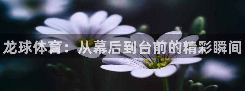 龙球体育：从幕后到台前的精彩瞬间