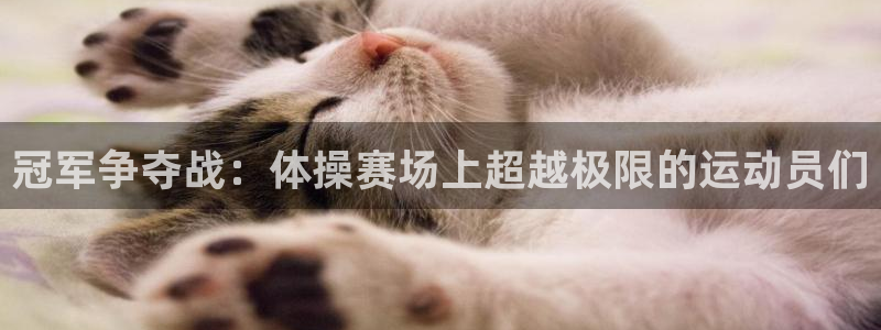 冠军争夺战：体操赛场上超越极限的运动员们