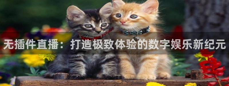 无插件直播：打造极致体验的数字娱乐新纪元