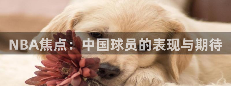 NBA焦点：中国球员的表现与期待
