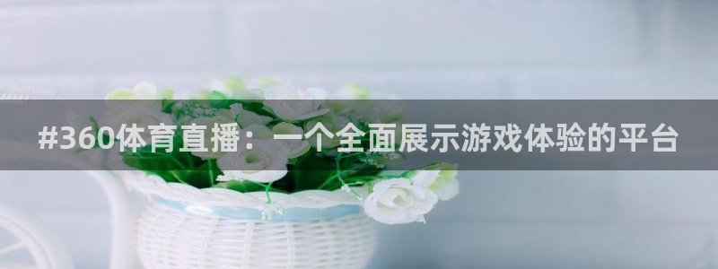 #360体育直播：一个全面展示游戏体验的平台