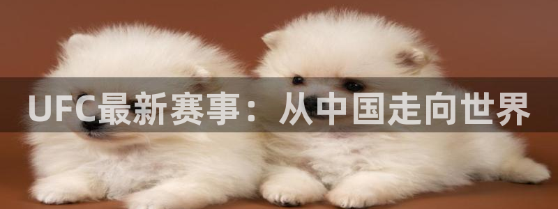 UFC最新赛事：从中国走向世界