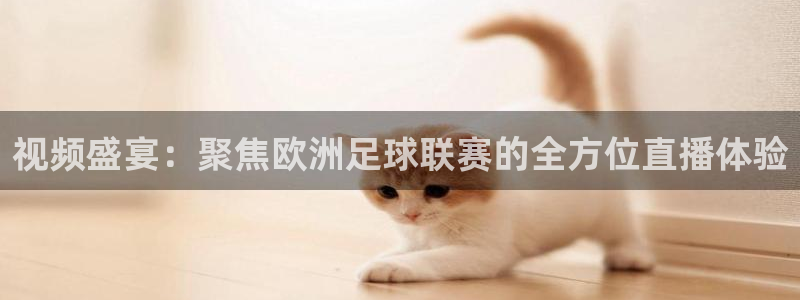 视频盛宴：聚焦欧洲足球联赛的全方位直播体验