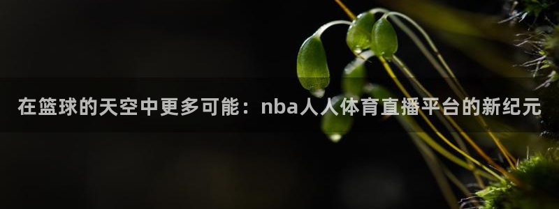 在篮球的天空中更多可能：nba人人体育直播平台的新纪元