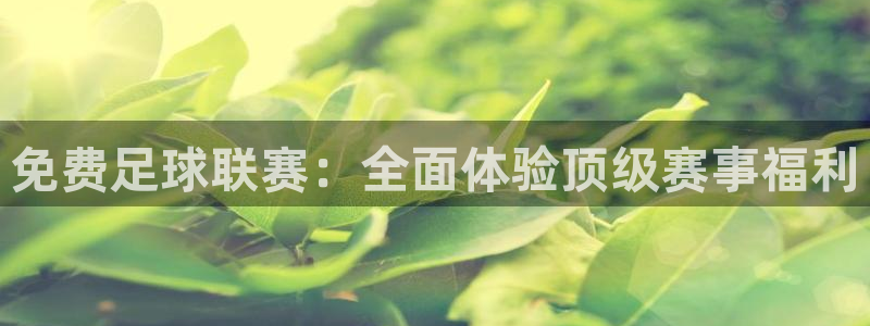 免费足球联赛：全面体验顶级赛事福利