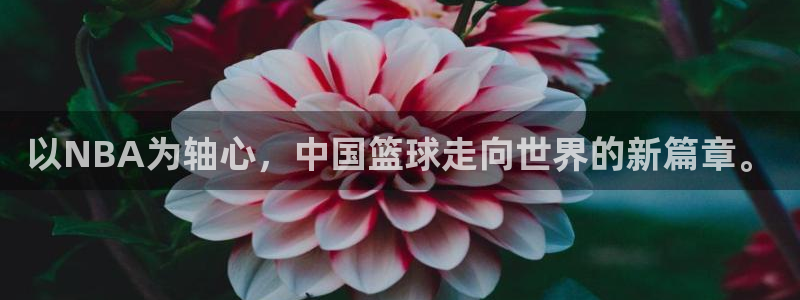 以NBA为轴心，中国篮球走向世界的新篇章。