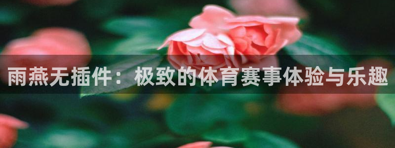 雨燕无插件：极致的体育赛事体验与乐趣