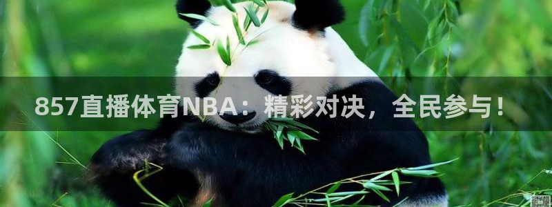 857直播体育NBA：精彩对决，全民参与！