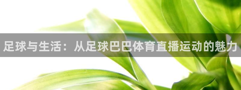 足球与生活：从足球巴巴体育直播运动的魅力
