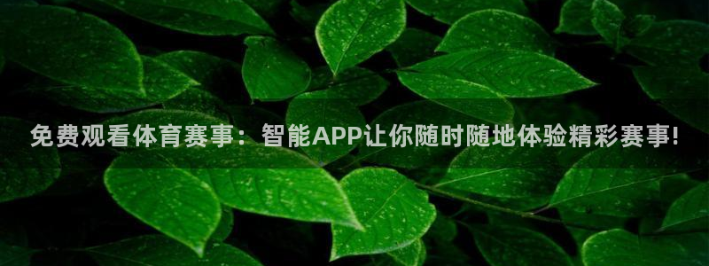 免费观看体育赛事：智能APP让你随时随地体验精彩赛事!