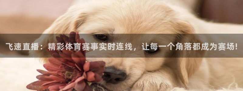 飞速直播：精彩体育赛事实时连线，让每一个角落都成为赛场!
