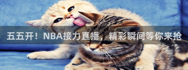五五开！NBA接力直播，精彩瞬间等你来抢
