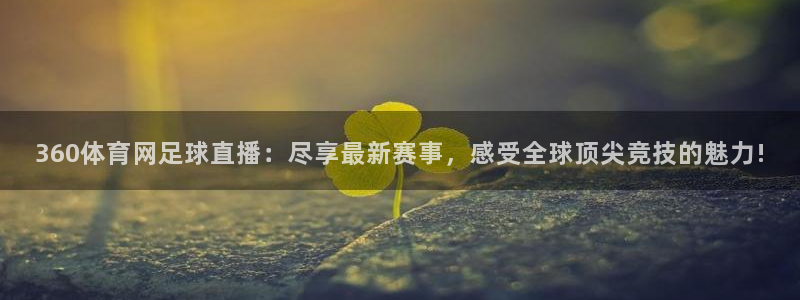360体育网足球直播：尽享最新赛事，感受全球顶尖竞技的魅力!