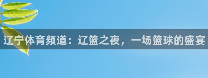 辽宁体育频道：辽篮之夜，一场篮球的盛宴