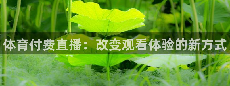 体育付费直播：改变观看体验的新方式