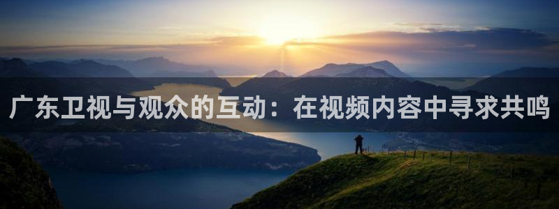 广东卫视与观众的互动：在视频内容中寻求共鸣