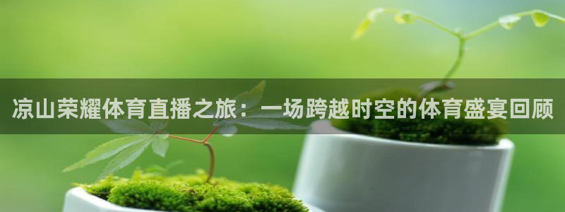 凉山荣耀体育直播之旅：一场跨越时空的体育盛宴回顾