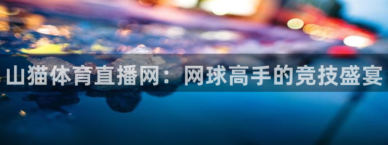 山猫体育直播网：网球高手的竞技盛宴