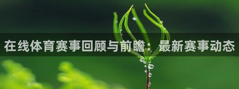 在线体育赛事回顾与前瞻：最新赛事动态