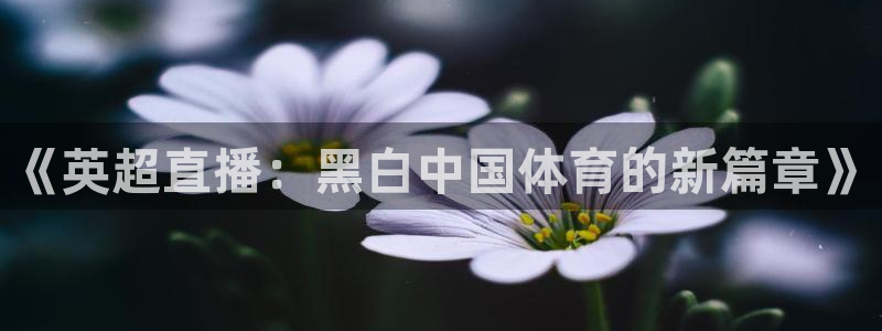 《英超直播：黑白中国体育的新篇章》
